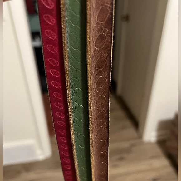 Lucky Brand Green, Red, and Brown Belt - Picture 5 of 9